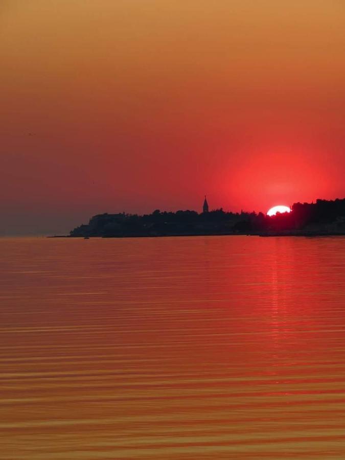 Novigrad Centre Apartmán *